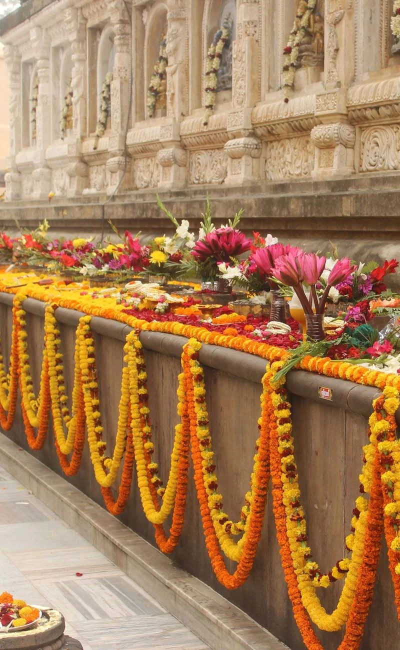 Retreat Barbara - foto 5